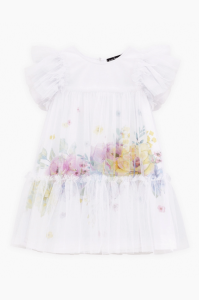 2025-11-25_11-59-51 (1)