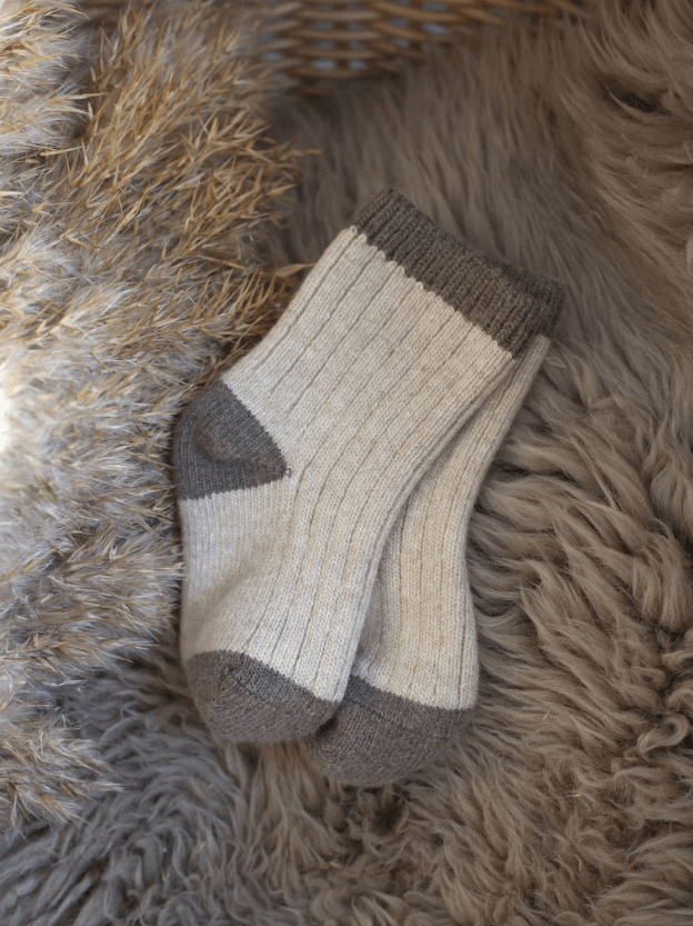 2025-10-09_12-54-55 (1)