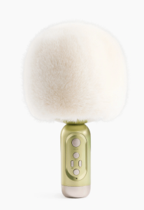 2026-03-20_13-03-44 (1)