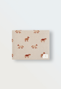 2026-02-12_15-52-39 (1)