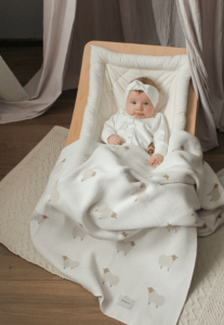 2023-09-25_11-52-52 (1)