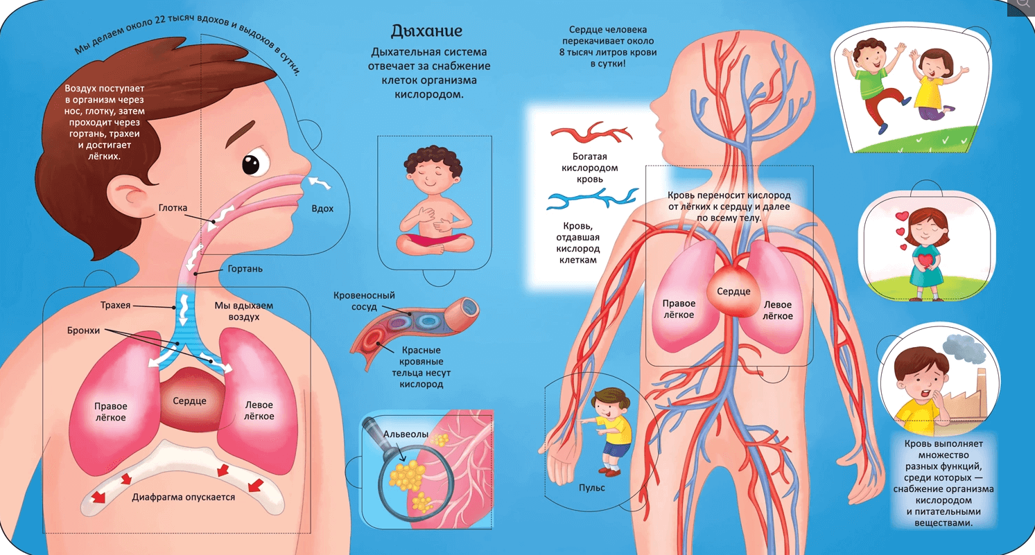 2025-08-28_14-40-51 (1)