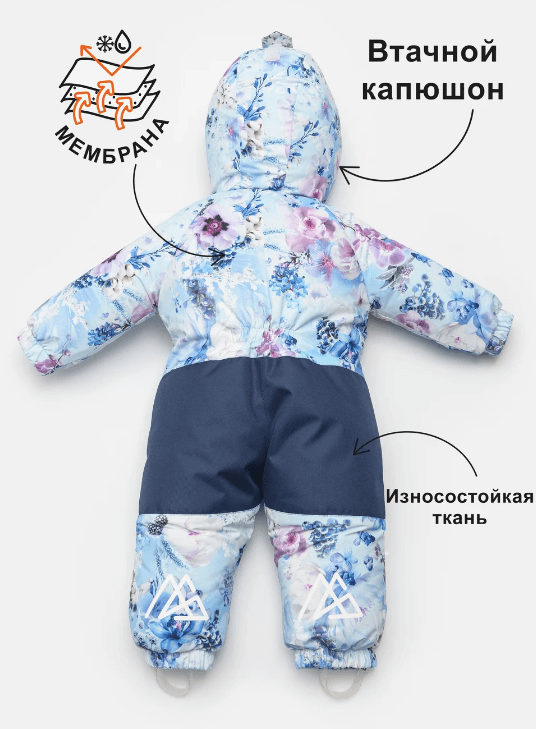 2024-08-22_15-27-56 (1)