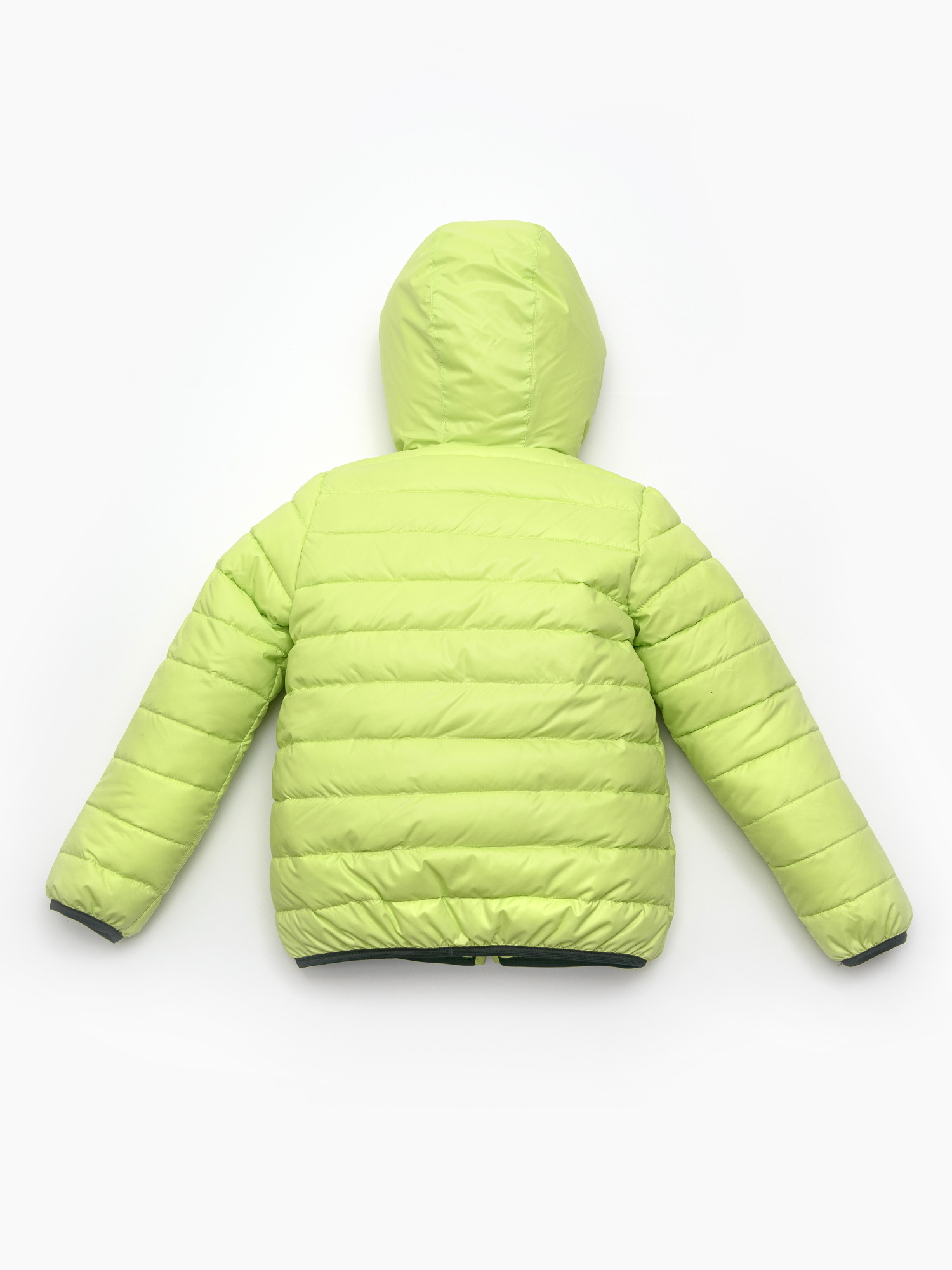 OB20924-02_св_салатовый__5__6xr3-h2