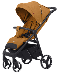 Коляски прогулочные